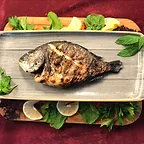 Gilt- Head Bream